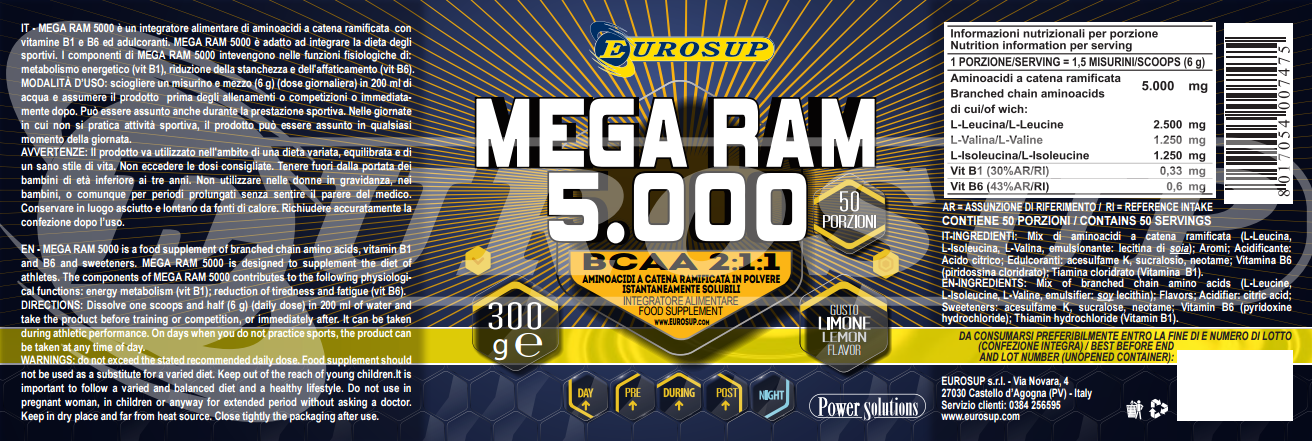 Mega RAM 5000 info