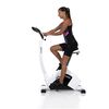Sobni bicikl Hammer Cardio XT5