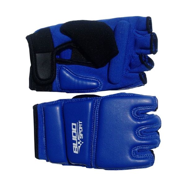 Taekwondo rukavice Budo Sport Sport4pro
