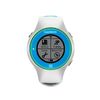 Garmin Forerunner 610 HRM Multicolor