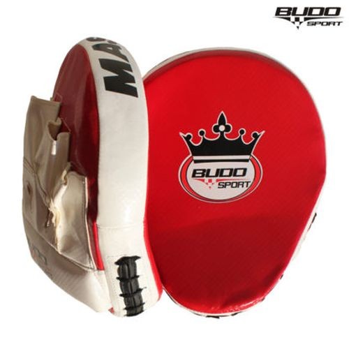 Budo sport trenerski fokuser Master