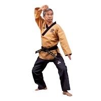 Taekwondo Poomsae dobok High Dan, muški - smeđi 190