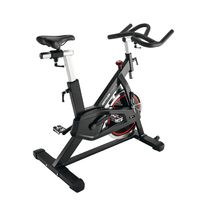 Sobni bicikl Kettler Speed 5