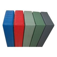 Tatami Judo - Budo Sport 100x100