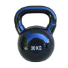 Budo Sport girja 20kg