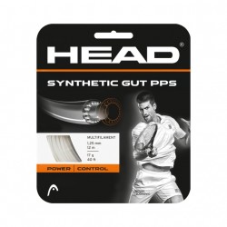 Head Synthetic Gut PPS 17 12m