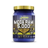 Prolabs Mega RAM 5000