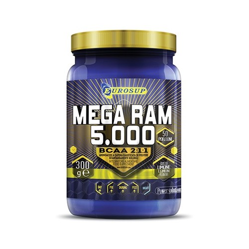 Prolabs Mega RAM 5000